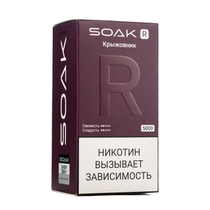 MK Одноразовая электронная сигарета SOAK R Gooseberry (Крыжовник) 5000 затяжек